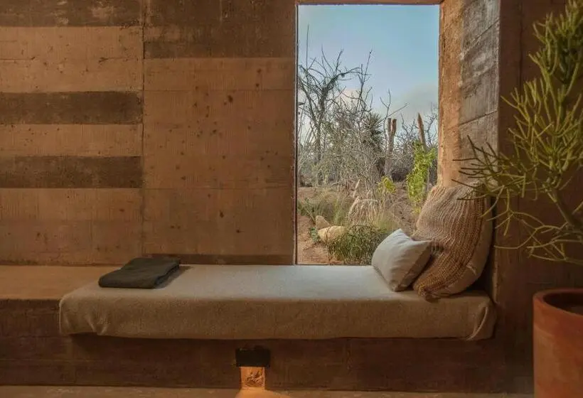 スイート, Paradero Todos Santos Exclusive Experiences Included