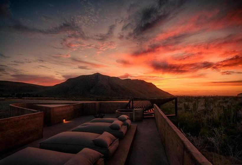 غرفة ماستر, Paradero Todos Santos   Exclusive Experiences Included