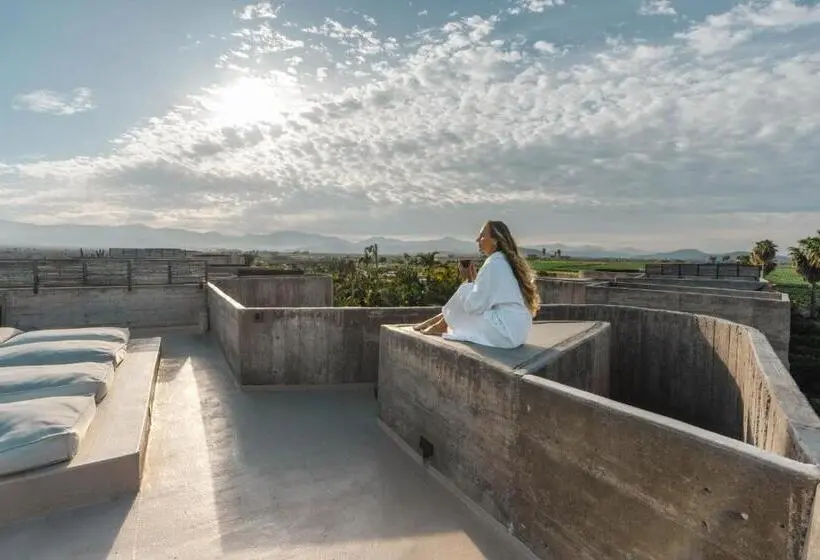 マスタールーム, Paradero Todos Santos Exclusive Experiences Included