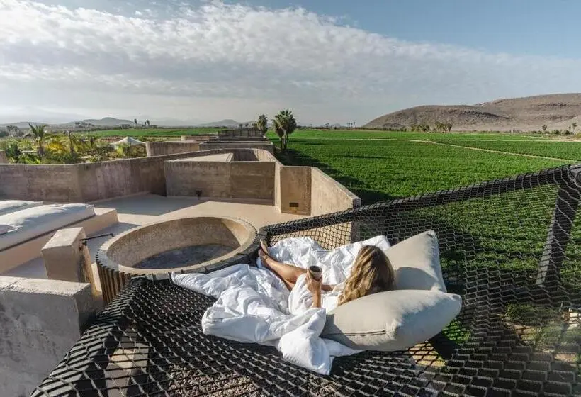 マスタールーム, Paradero Todos Santos Exclusive Experiences Included
