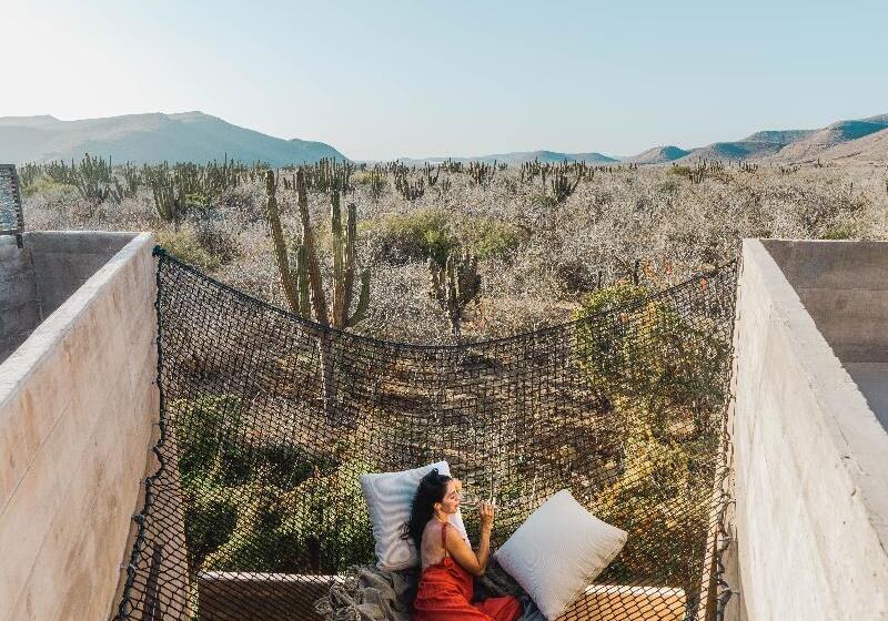جناح, Paradero Todos Santos   Exclusive Experiences Included
