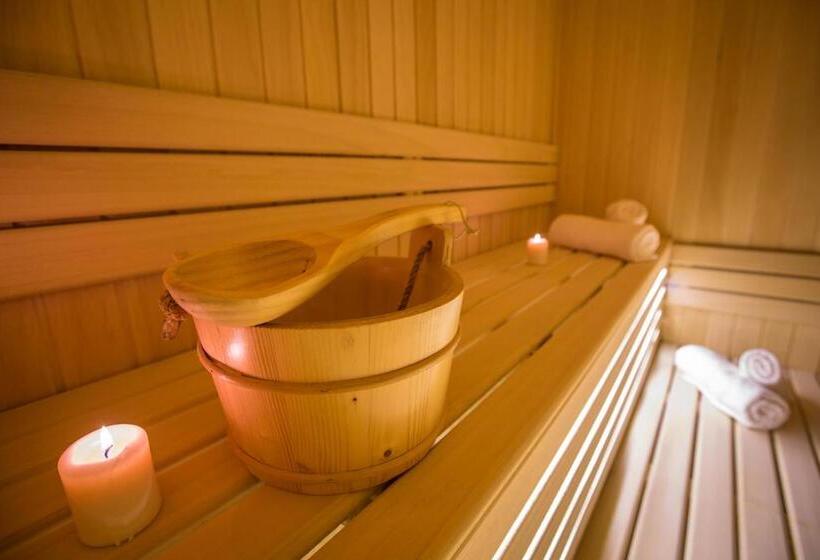 Апартаменты 1 Спальня, Srebrna Planina Spa & Resort