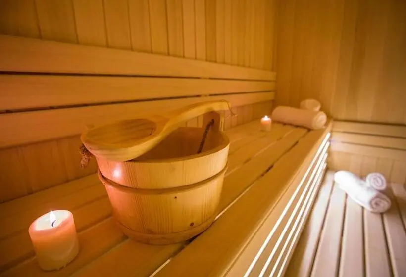 آپارتمان سوپریور 1 خوابه, Srebrna Planina Spa & Resort