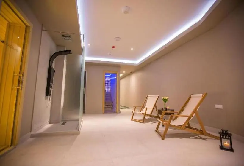 اتاق استاندارد با دسترسی به اسپا, Srebrna Planina Spa & Resort