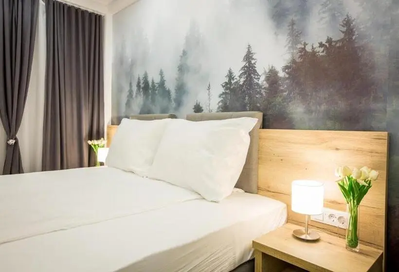 اتاق استاندارد با دسترسی به اسپا, Srebrna Planina Spa & Resort