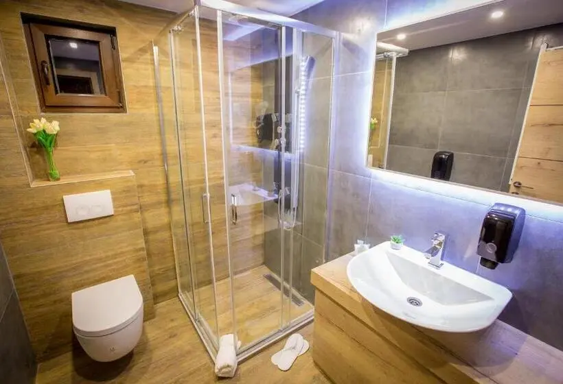 اتاق استاندارد با دسترسی به اسپا, Srebrna Planina Spa & Resort