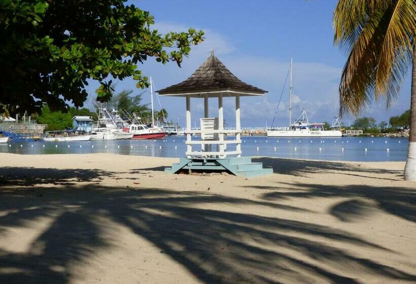 استودیوی استاندارد, Beach Studio 10