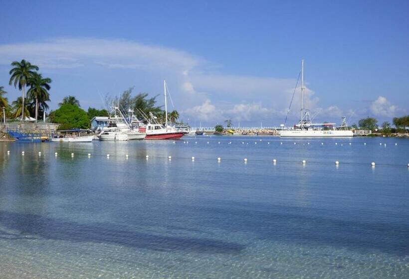 استودیوی استاندارد, Beach Studio 10