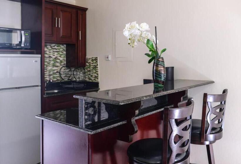 استودیوی استاندارد, Beach Studio 10