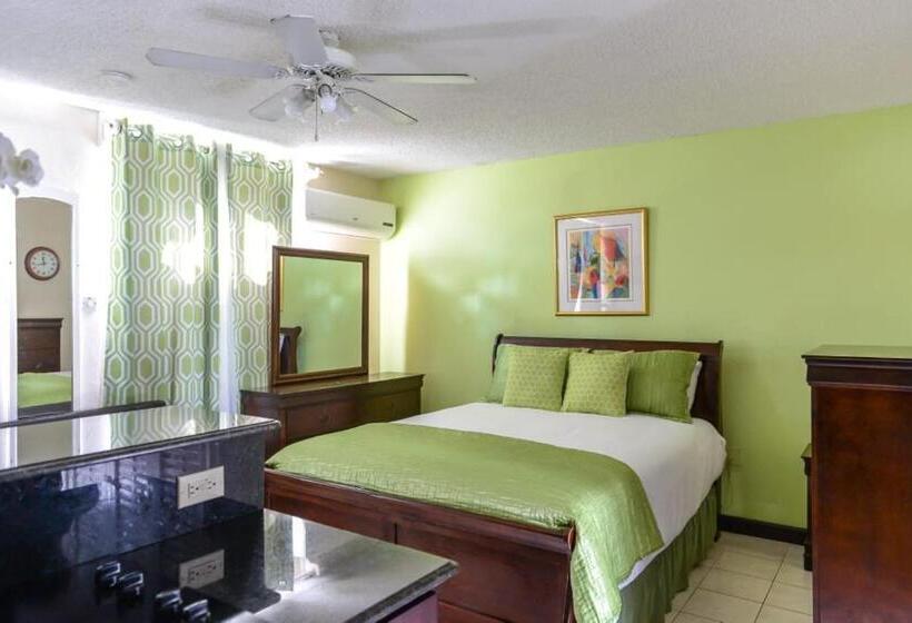 استودیوی استاندارد, Beach Studio 10