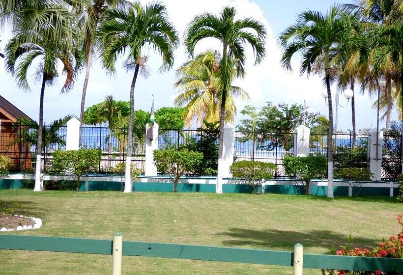 استودیوی استاندارد, Beach Studio 10