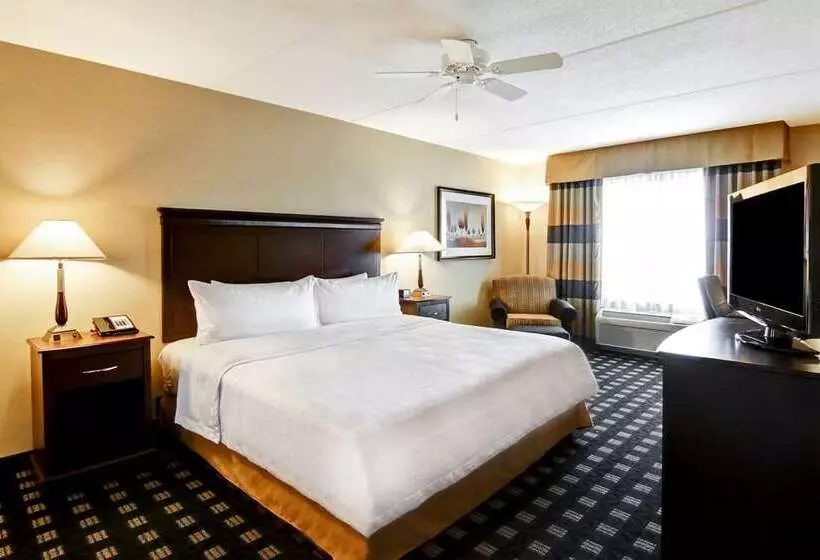 身障者適用スイートルーム, Embassy Suites Montréal By Hilton
