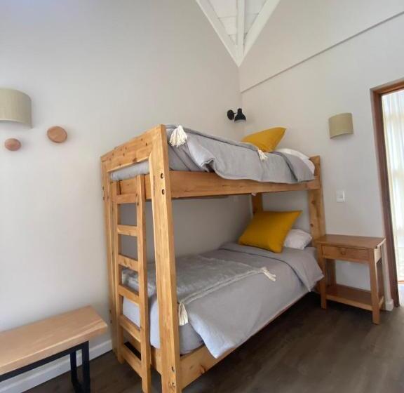 بانگلوی استاندارد 2 خوابه, Paihuen Resort De Montaña