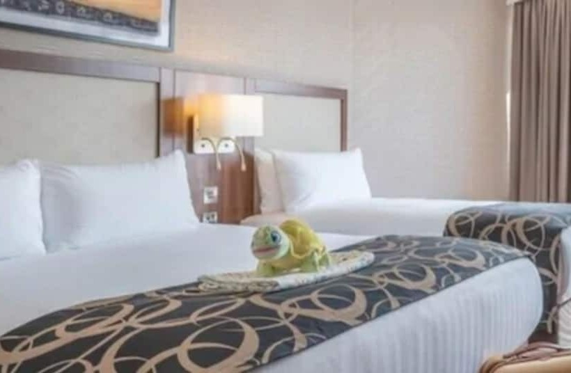 家庭间, Clayton Hotel Galway