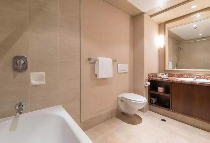 ジュニアスイート, Distinction Hotel Rotorua