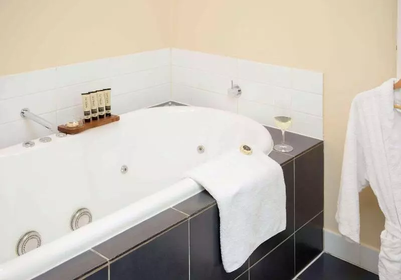 اتاق سوپریور با تخت بزرگ, Fiesta Inn Tijuana Otay Aeropuerto