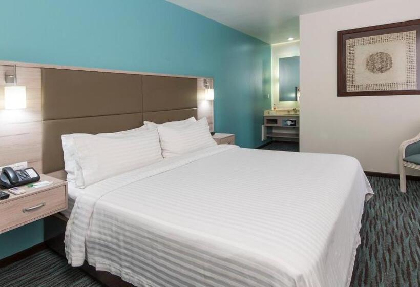 デラックススイート, Holiday Inn & Suites Mexico Zona Reforma, An Ihg