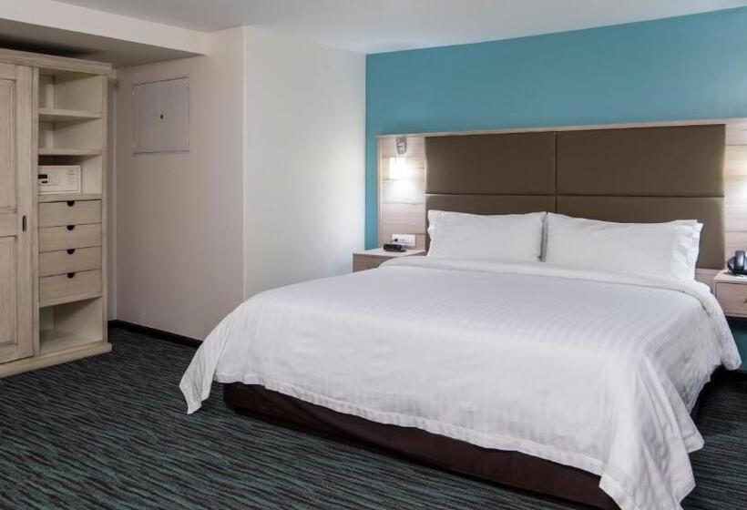 デラックススイート, Holiday Inn & Suites Mexico Zona Reforma, An Ihg