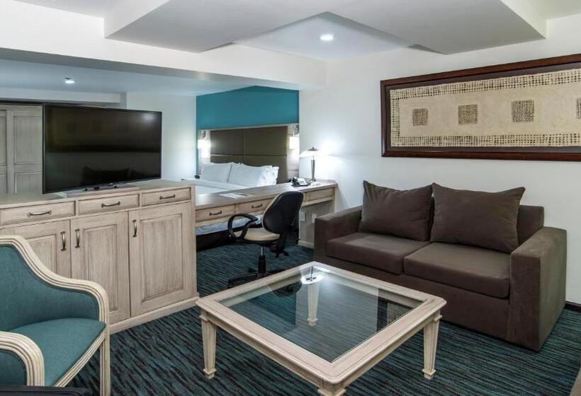 デラックススイート, Holiday Inn & Suites Mexico Zona Reforma, An Ihg