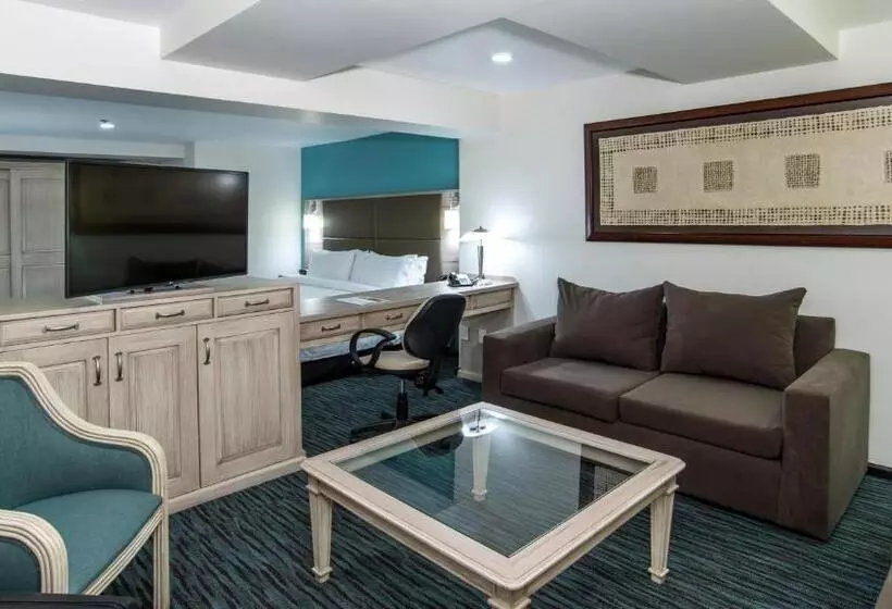سوییت لوکس, Holiday Inn & Suites Mexico Zona Reforma, An Ihg