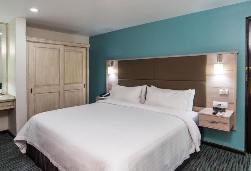 キングサイズベッドのスイートルーム, Holiday Inn & Suites Mexico Zona Reforma, An Ihg