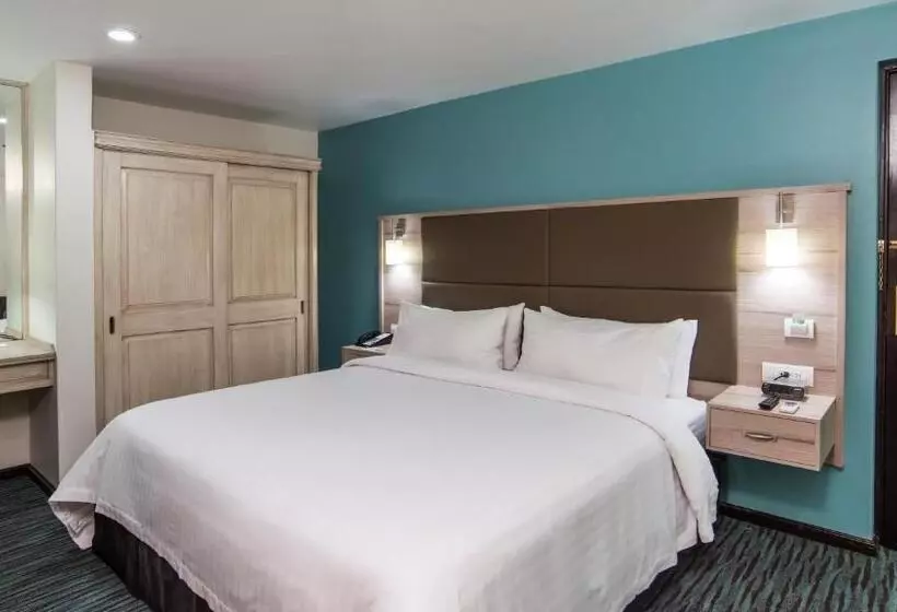 سوئیت با تخت بزرگ, Holiday Inn & Suites Mexico Zona Reforma, An Ihg