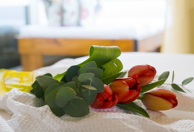 Superior Room Pool View