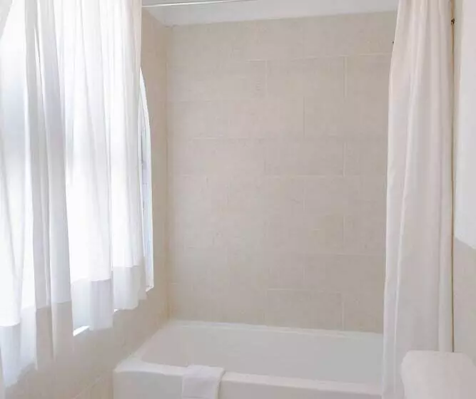 سوییت جونیور, Los Agaves Hotel Boutique