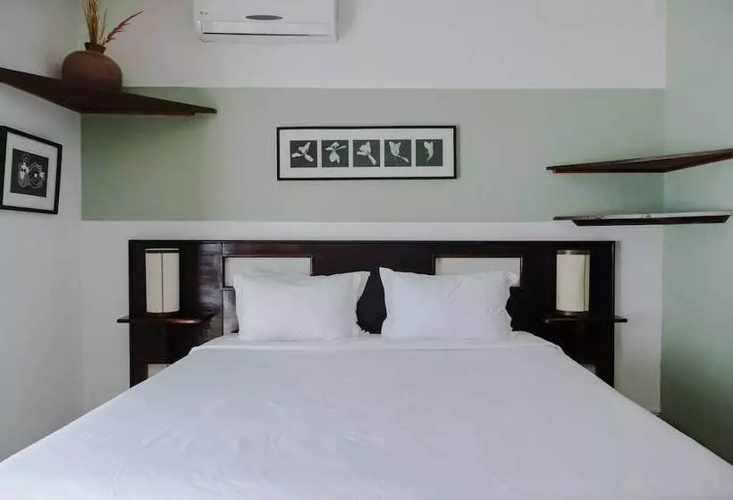سوییت جونیور, Los Agaves Hotel Boutique