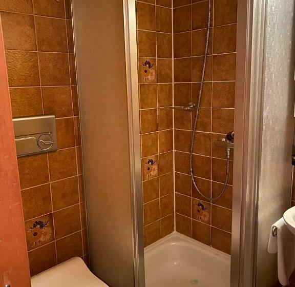 Номер Стандарт Вид на Горы, Berghotel Gaffia