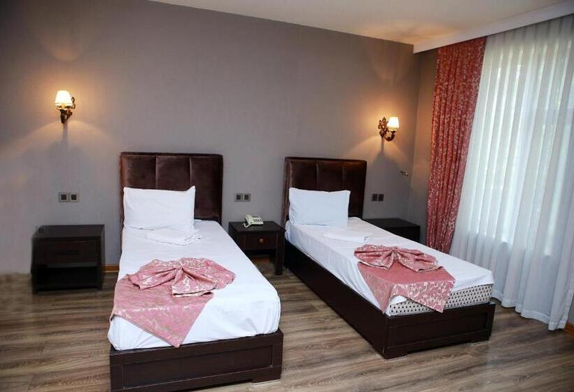 اتاق استاندارد, Deluxe Hotel Ganja