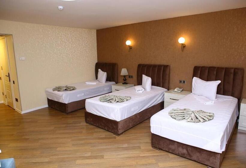 اتاق استاندارد سه نفره, Deluxe Hotel Ganja