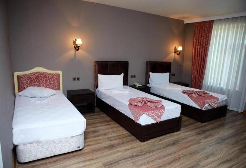 اتاق استاندارد سه نفره, Deluxe Hotel Ganja