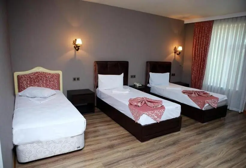 اتاق استاندارد سه نفره, Deluxe Hotel Ganja