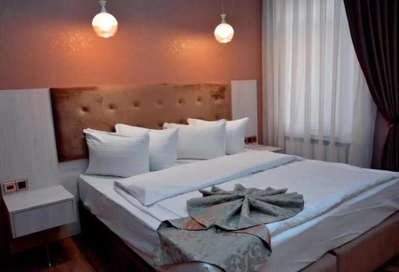 اتاق استاندارد, Deluxe Hotel Ganja
