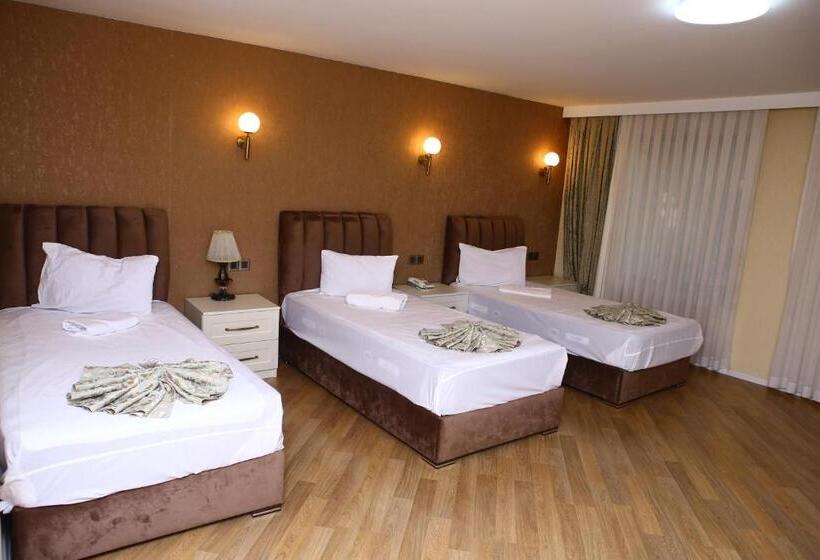 اتاق استاندارد سه نفره, Deluxe Hotel Ganja