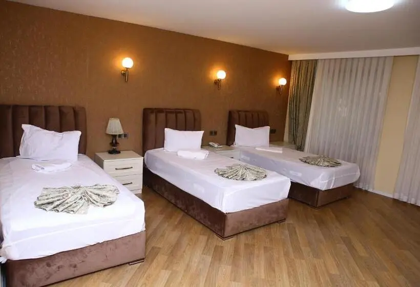 اتاق استاندارد سه نفره, Deluxe Hotel Ganja