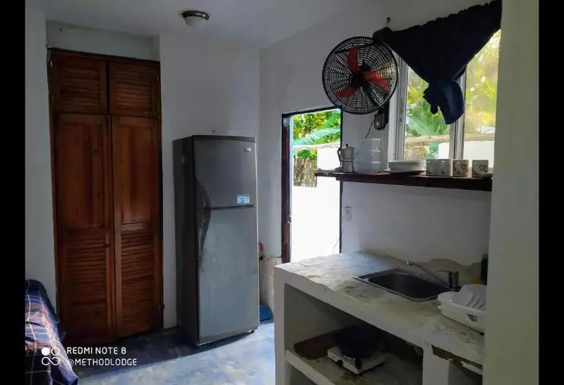 スタンダードルーム, Room In Lodge Method Living Tropical Edition