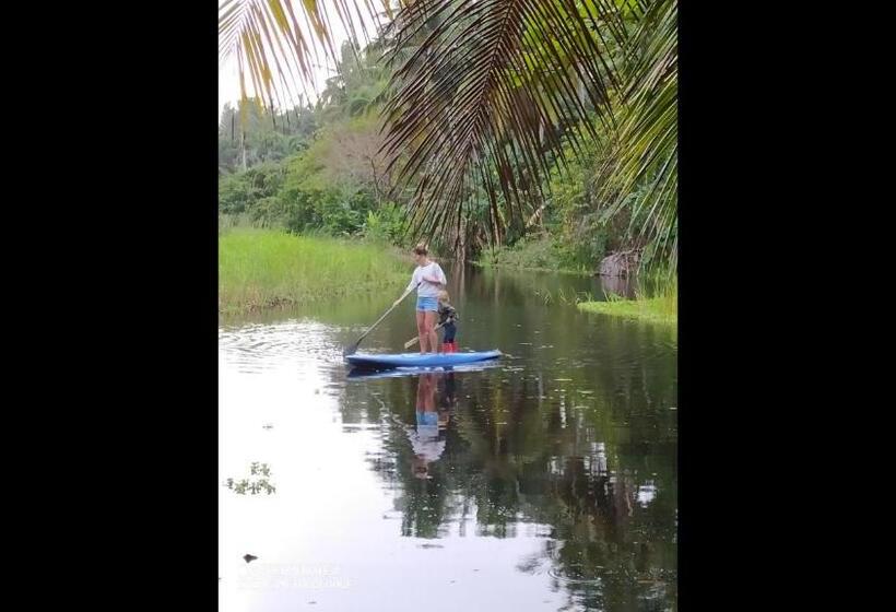חדר סטנדרט, Room In Lodge   Method Living Tropical Edition