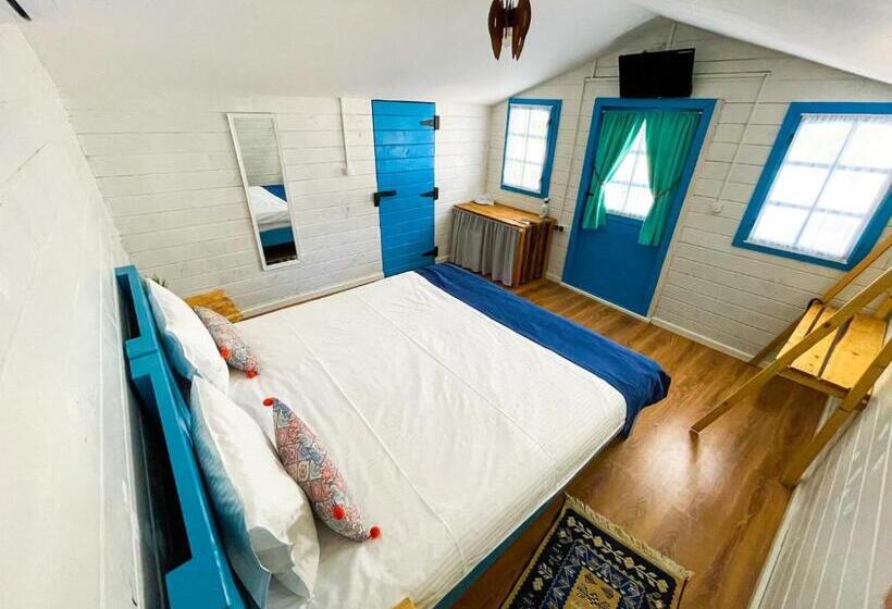 스탠다드 룸, Manu B&b