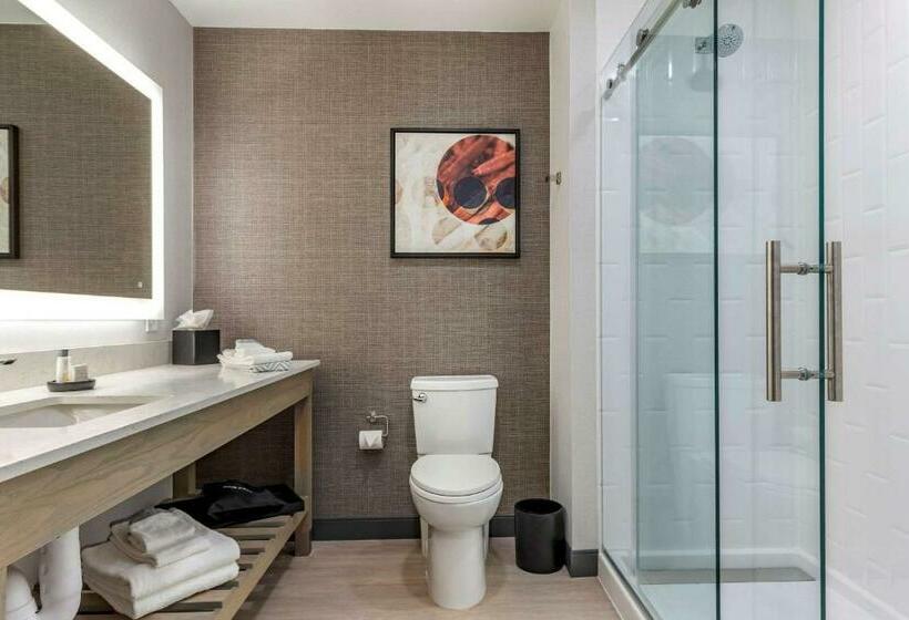 غرفة قياسية سرير كينج, Cambria Hotel Rock Hill   University Center