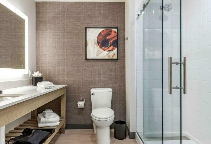 Номер Стандарт 2 Двуспальные Кровати, Cambria Hotel Rock Hill   University Center