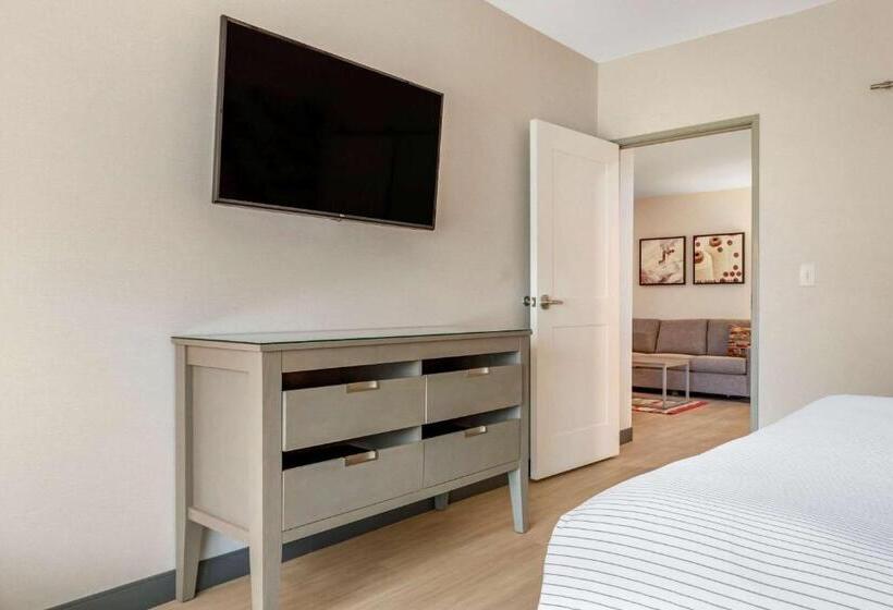 جناح سرير كينج, Cambria Hotel Rock Hill   University Center