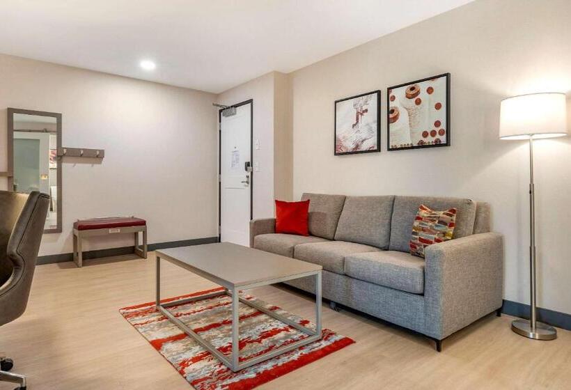 جناح سرير كينج, Cambria Hotel Rock Hill   University Center