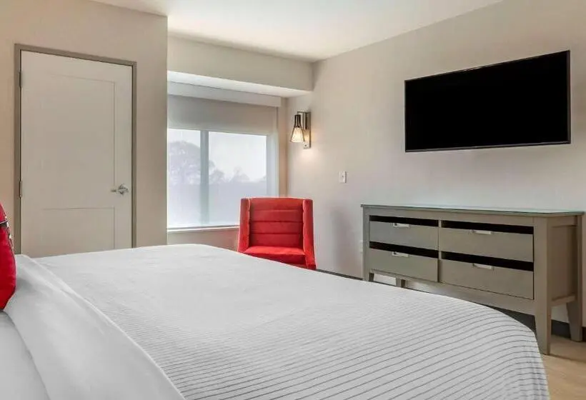 キングサイズベッドのスイートルーム, Cambria Hotel Rock Hill University Center