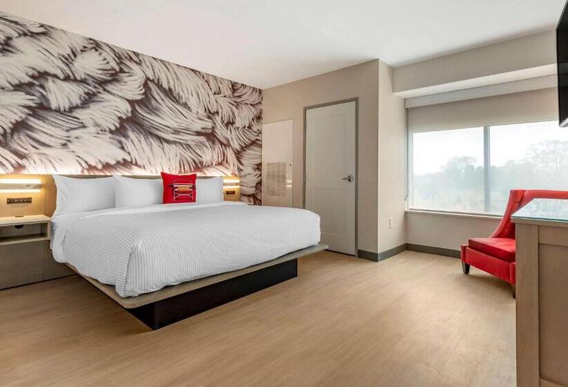 جناح سرير كينج, Cambria Hotel Rock Hill   University Center