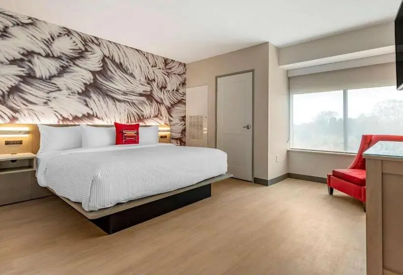 キングサイズベッドのスイートルーム, Cambria Hotel Rock Hill University Center