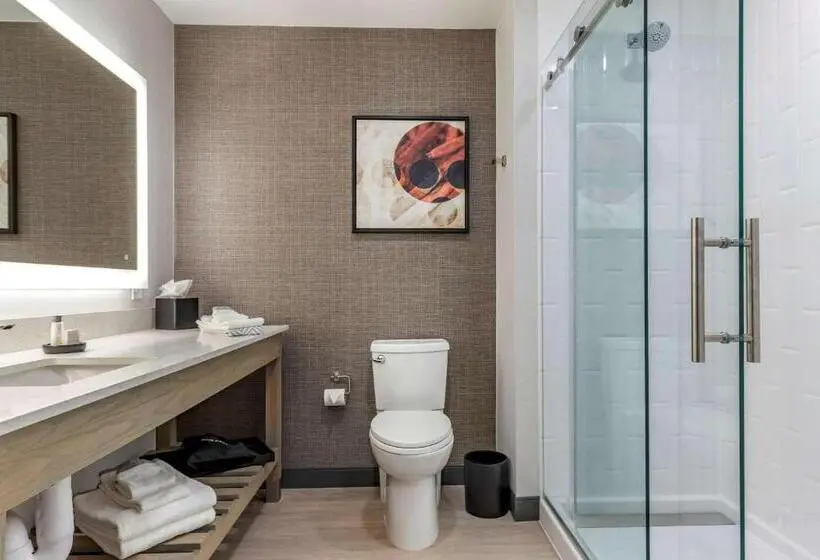 身障者適用キングサイズベッドルーム, Cambria Hotel Rock Hill University Center