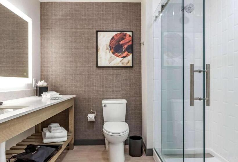 غرفة قياسية لذوى الاحتياجات الخاصة, Cambria Hotel Rock Hill   University Center