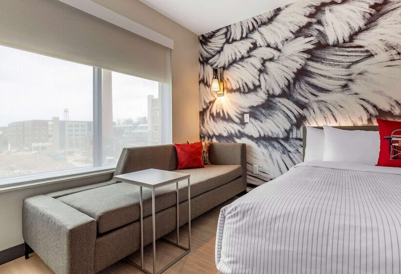 غرفه قياسيه سريرين مزدوجين, Cambria Hotel Rock Hill   University Center